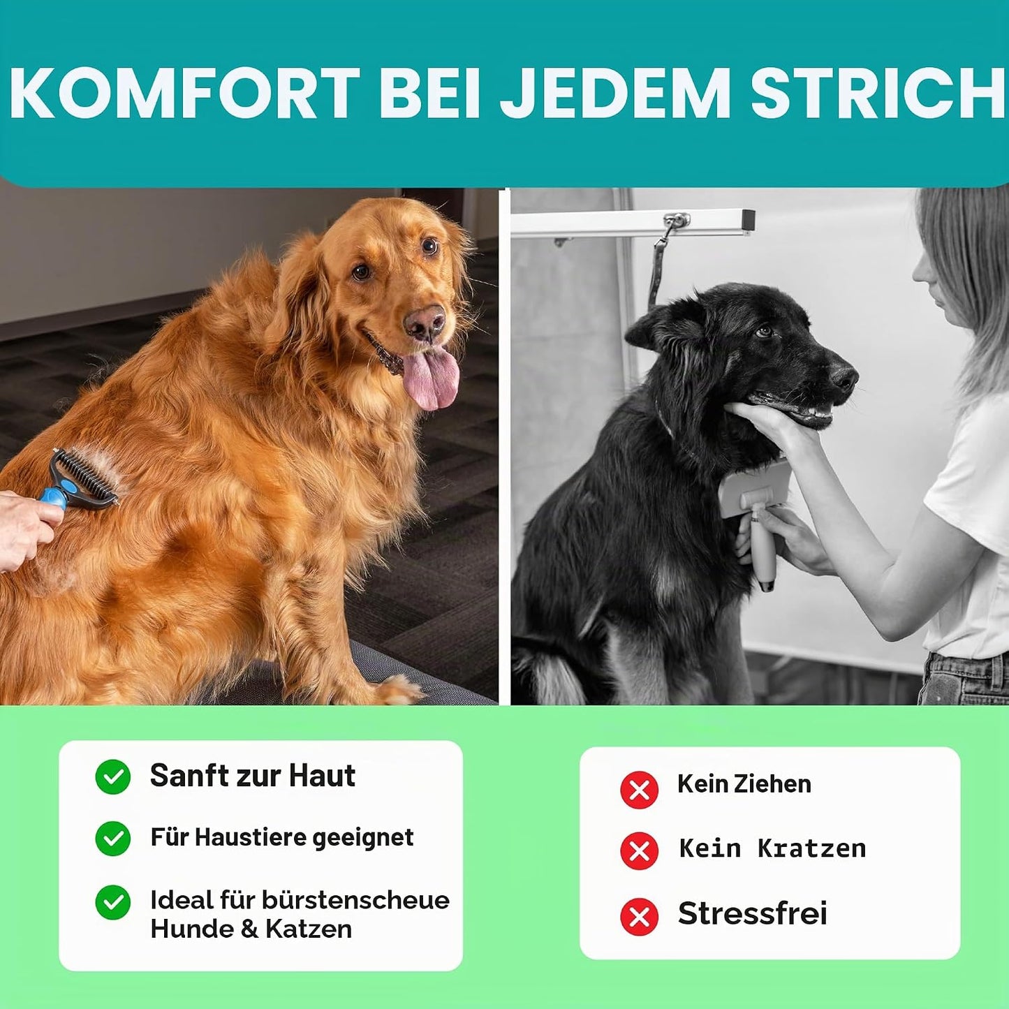 Professioneller Entwirkamm