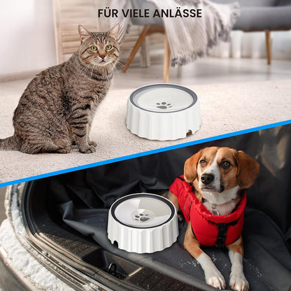 Wassernapf Für Hunde Kein Verschütten