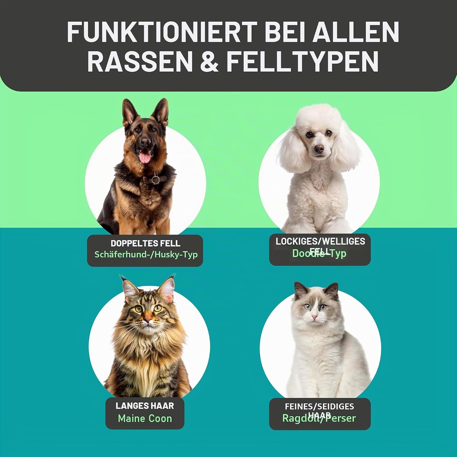 Professioneller Entwirkamm