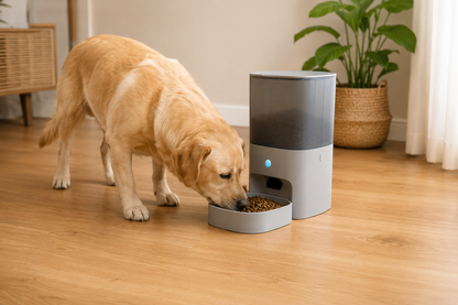 Smarter WLAN-Futterautomat