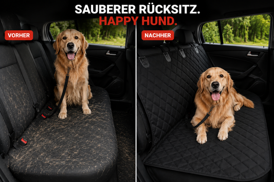 Auto Sitz Schutz