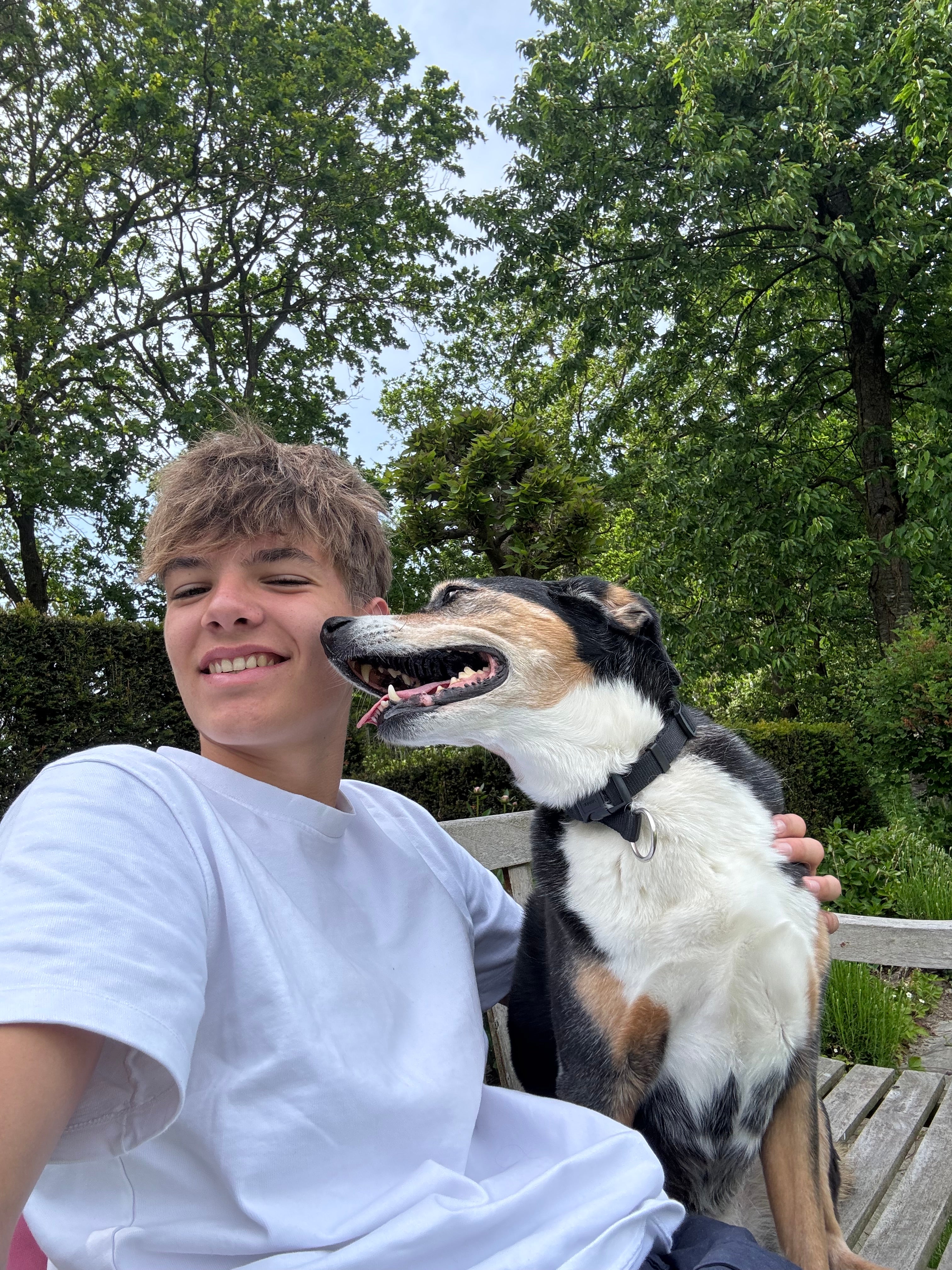 Story Bild