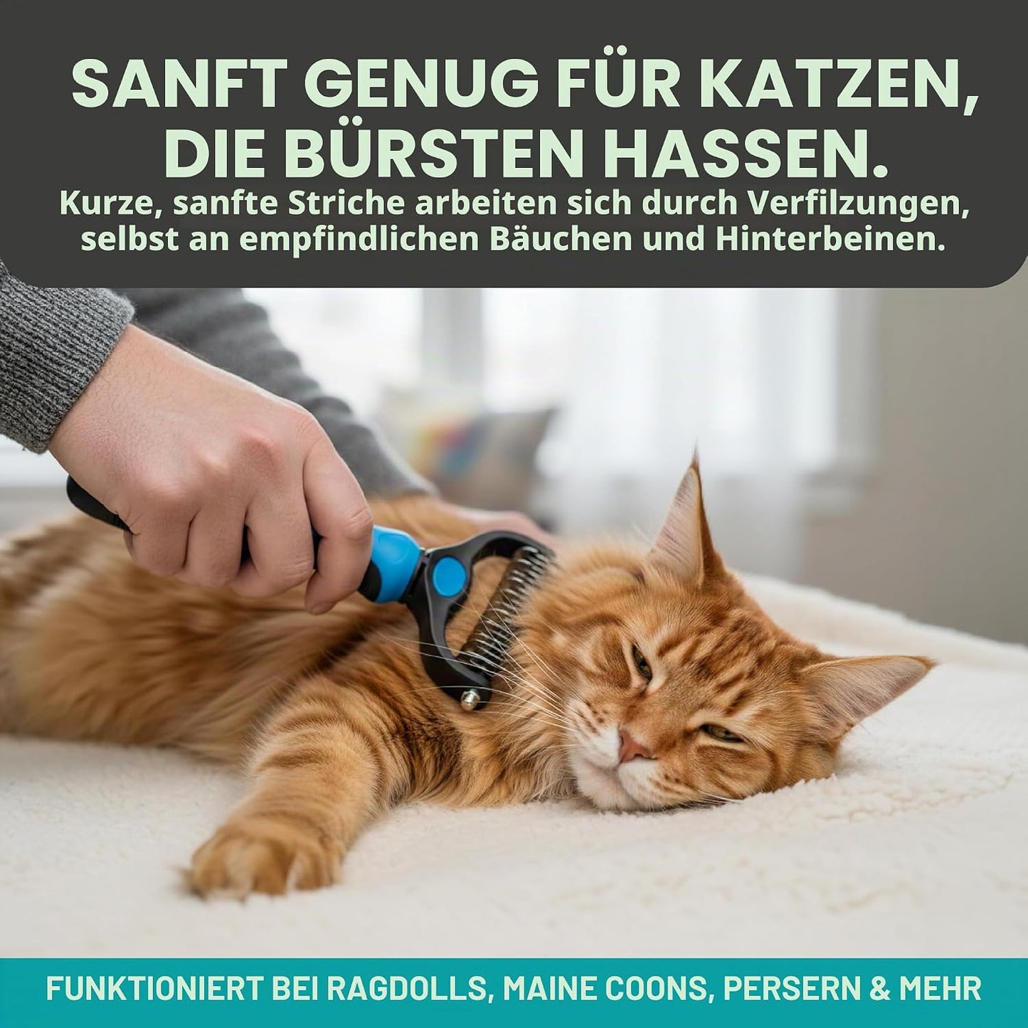 Professioneller Entwirkamm