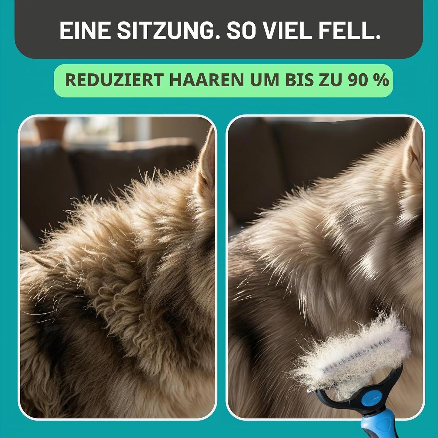 Professioneller Entwirkamm